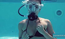 Мини Мангас подводна страст: дивљи домаћи сусрет