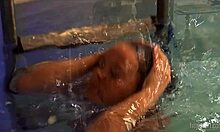 Gabriella amatir yang cantik memamerkan vaginanya di kolam renang