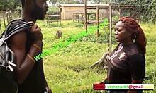 Horúce stretnutie v zoologickej záhrade - Mboa xvideos jedinečná ponuka