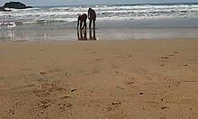 زوجان حقيقيان يتمتعان بالعري على الشاطئ